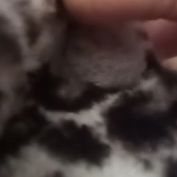 NWOT Leopard Panther Print Fluffitta Platform UGG Sandals or Slippers Sz 8 - Picture 9 of 10